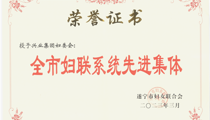 喜報(bào)！興業(yè)集團(tuán)婦委會(huì)榮獲“全市婦聯(lián)系統(tǒng)先進(jìn)集體”榮譽(yù)稱號(hào)
