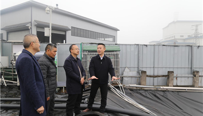 集團領(lǐng)導督導檢查2025年一季度暨春節(jié)假期安全環(huán)保工作