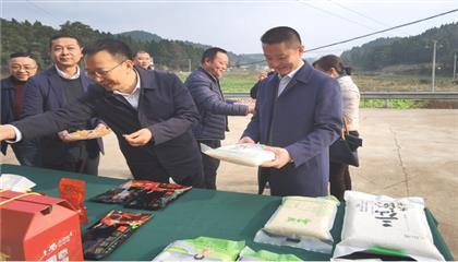 市委常委、政法委書記劉波濤帶隊調(diào)研指導(dǎo)定點(diǎn)幫扶村鄉(xiāng)村振興工作